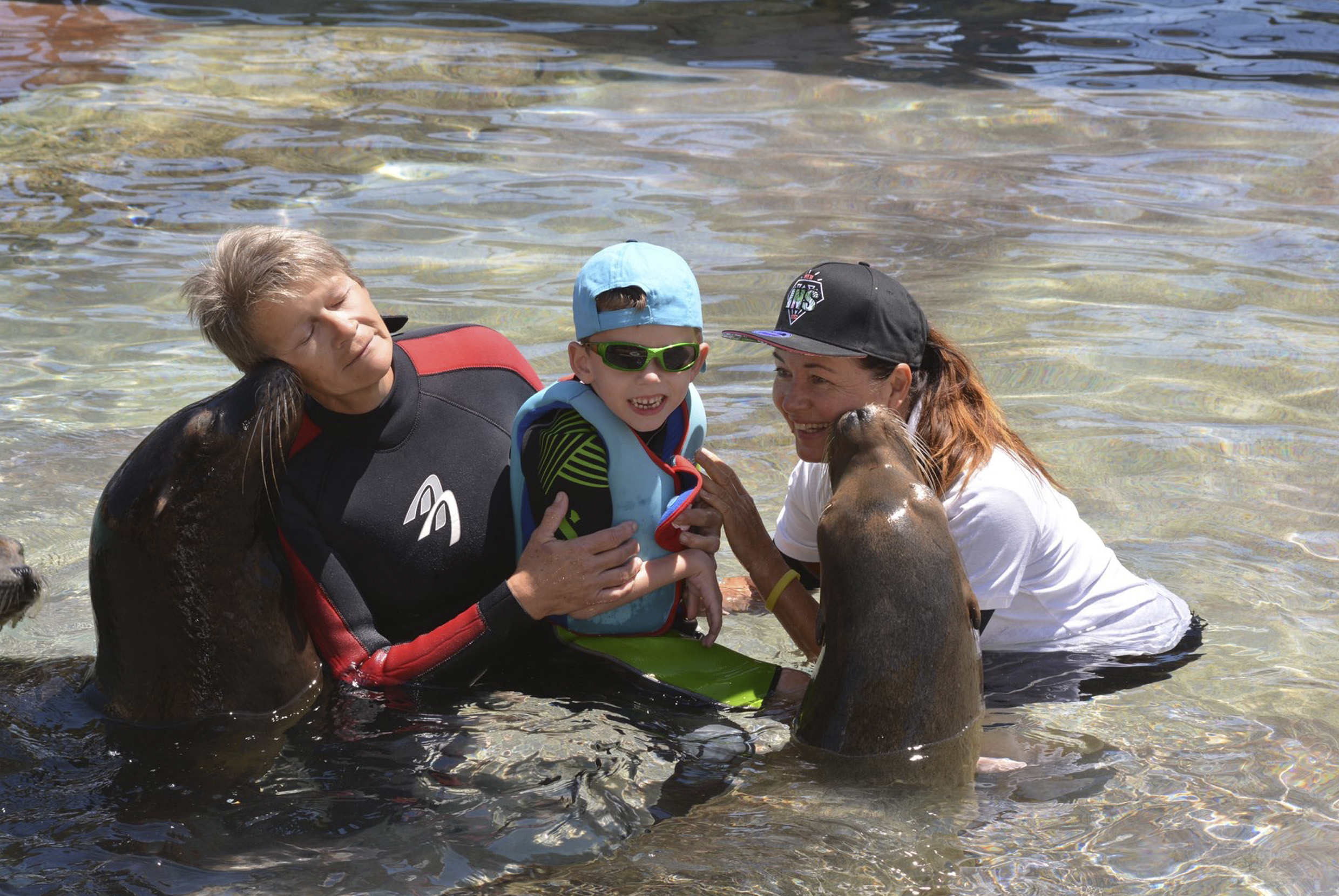 SeaLionTherapy AquaNatura Benidorm